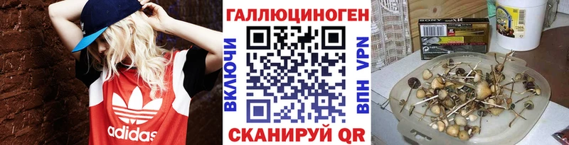 Галлюциногенные грибы прущие грибы  Качканар 