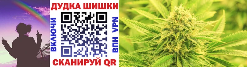 Бошки марихуана сатива  продажа наркотиков  Качканар 
